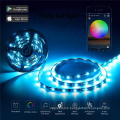 Tuya App Remote Control 24V Rgb 5M Wifi Smart Led Strip